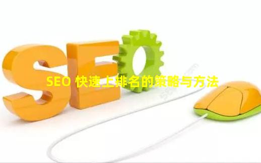 SEO 快速上排名的策略与方法